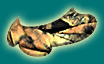 wp0c9eb80e.gif