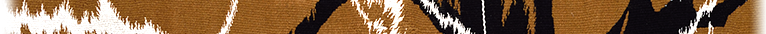 wp15774364.png