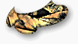 wp16bdd561.gif