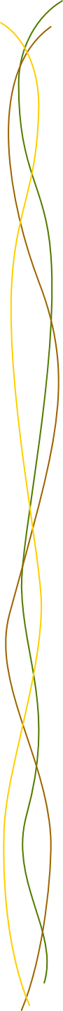 wp1933ff94.gif
