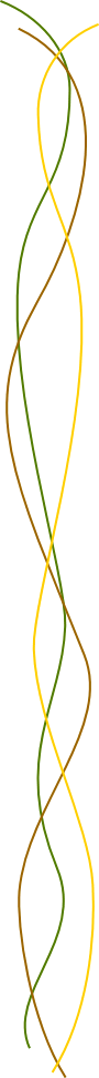 wp23cd5819.gif