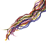 wp36cbd704.png