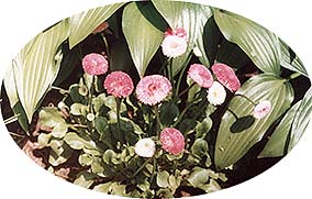 wp43abea03.jpg