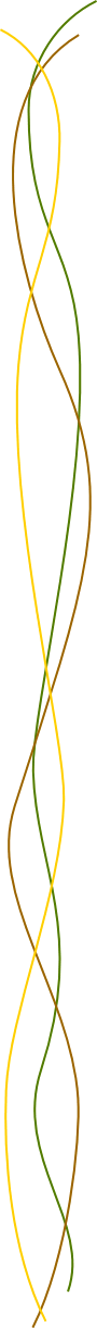 wp508b8c53.gif