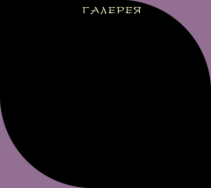 wp58315259.png