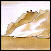 wp69389520_1b.jpg