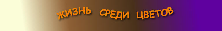 wp7f4db45e_1b.jpg
