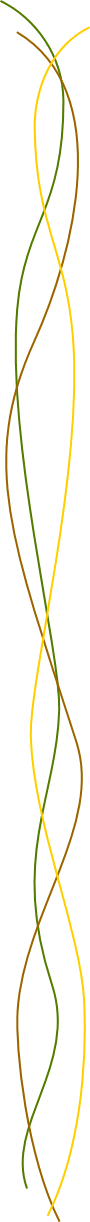 wp89eb4a4e.gif