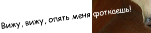 wp9e2d375c.png