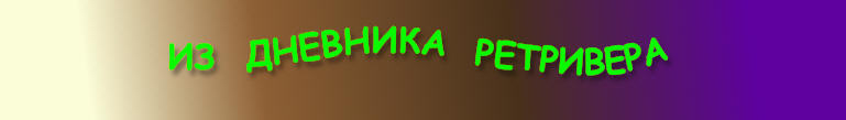 из дневника ретривера