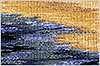 wpc02d11a3.jpg