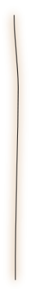 wpe37d881a.png