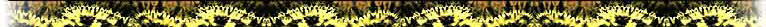 wpec97afae_1b.jpg